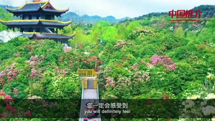 China Recommendation--- Earth Ribbon, Rhododendron Kingdom