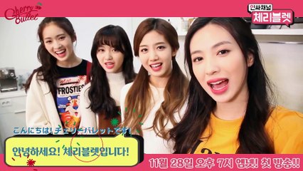 Cherry Bullet – リアリティー ‘インサイダーチャンネル, チェリーバレット’ Introducing Video #1 日本語字幕