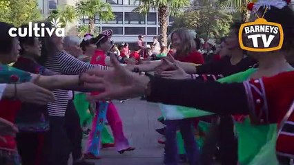 Barneys Farm @ Cultiva 2018 - Vienna