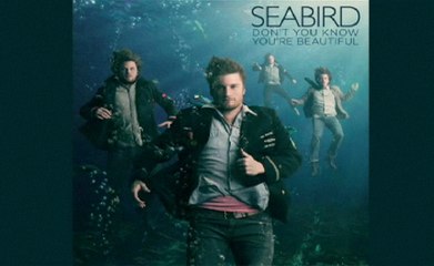 Seabird - Don't You Know You're Beautiful