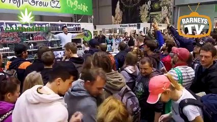 Barneys Farm @ Cannafest 2018 Prague