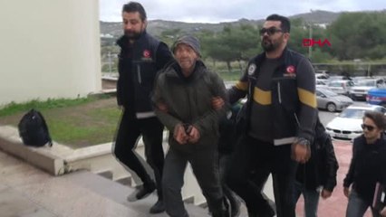 Muğla Villada Sera Kurup Hint Keneviri Yetiştirmekle Suçlanan 2 Kişiye Gözaltı