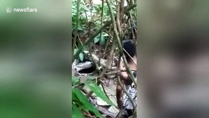 Men going fishing in Indonesia catch monster '27ft-long' python instead