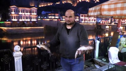 Yeşilırmak'ta toplu balık ölümleri - AMASYA