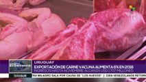 Uruguay: exportación de carne vacuna aumentó 6% este 2018