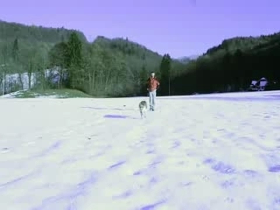 Herkommen durch Pfiff