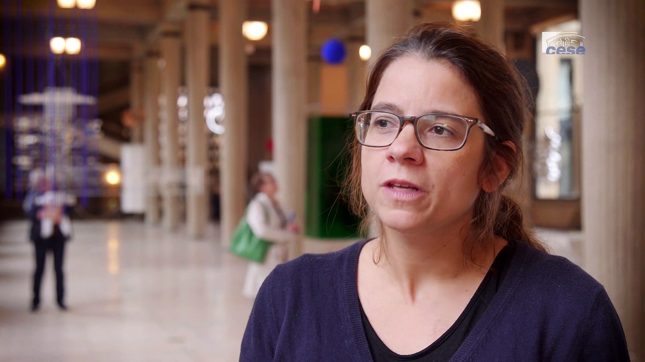 Questions à Laurène CHESNEL (Inter-LGBT) - droits sexuels et reproductifs - cese