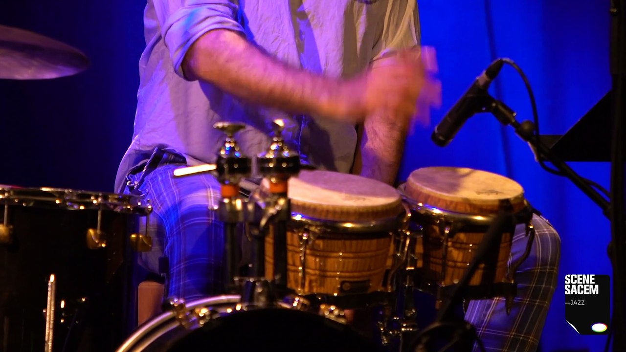 Lionel Suarez en live  : Chorinho para Toninho (extrait) - Scène Sacem Jazz