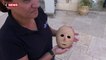 Cisjordanie : des archéologues présentent un masque rare vieux de 9.000 ans