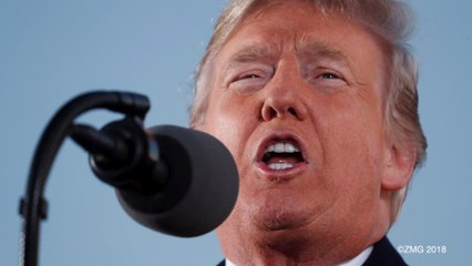 Trump Retweets Image of Opponents In Jail Calling For Them To Face Trials For Treason