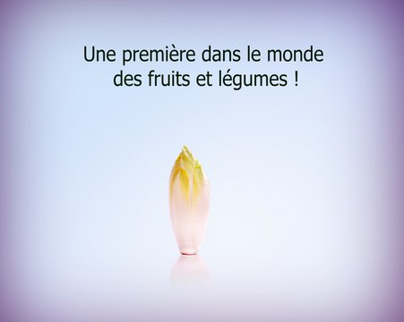 Projet publicité endives