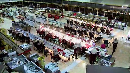 الزعفران الإيراني يبحث عن اعتراف دولي