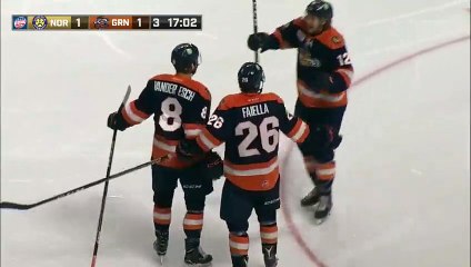 ECHL Norfolk Admirals 2 at Greenville Swamp Rabbits 1