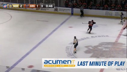 ECHL Norfolk Admirals 3 at Greenville Swamp Rabbits 1