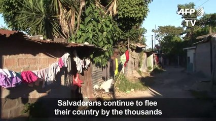 Ruthless gangs draw El Salvador's invisible borders