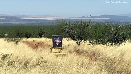 Video Shows A Gender Reveal Party Started Massive Arizona Wildfire In 2017