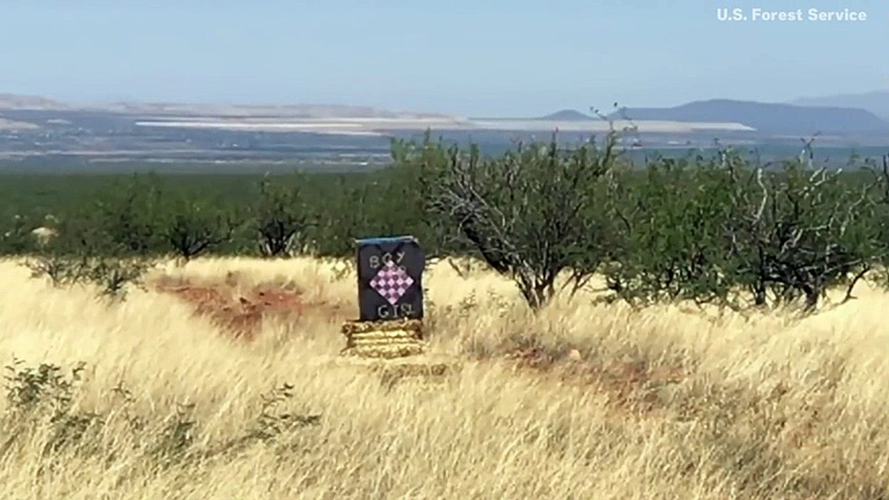 Video Shows A Gender Reveal Party Started Massive Arizona Wildfire In 2017