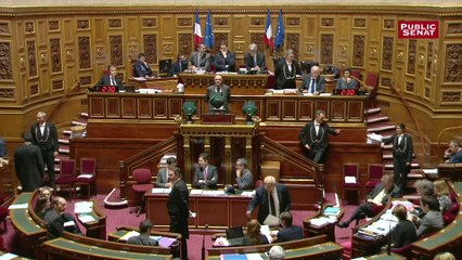 Rétablir ou non l'ISF : le débat budgétaire du Sénat pour 2019