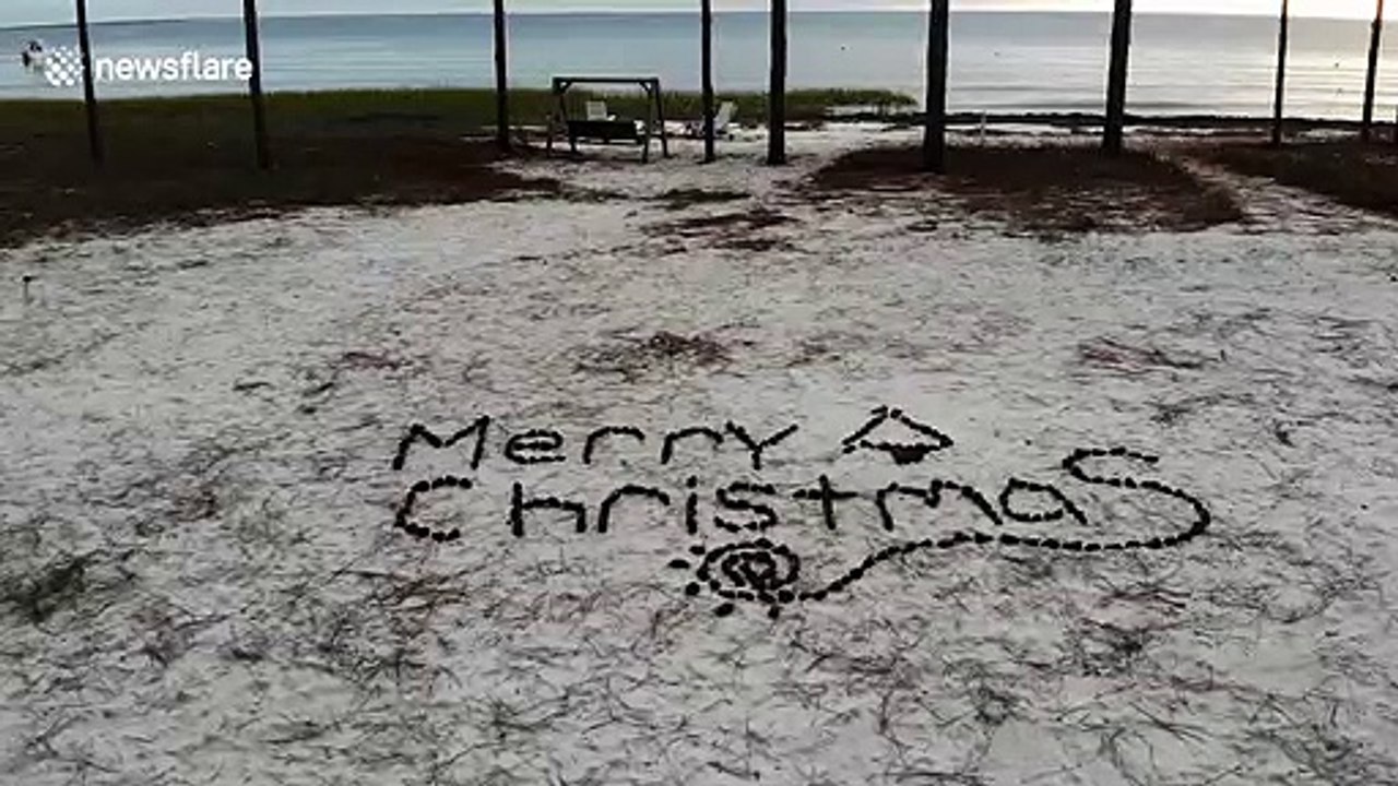 Drone gets tangled in pine tree during Christmas greeting