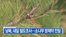 [YTN 실시간뉴스] 남북 내일 철도조사...소나무 방제약 전달 / YTN