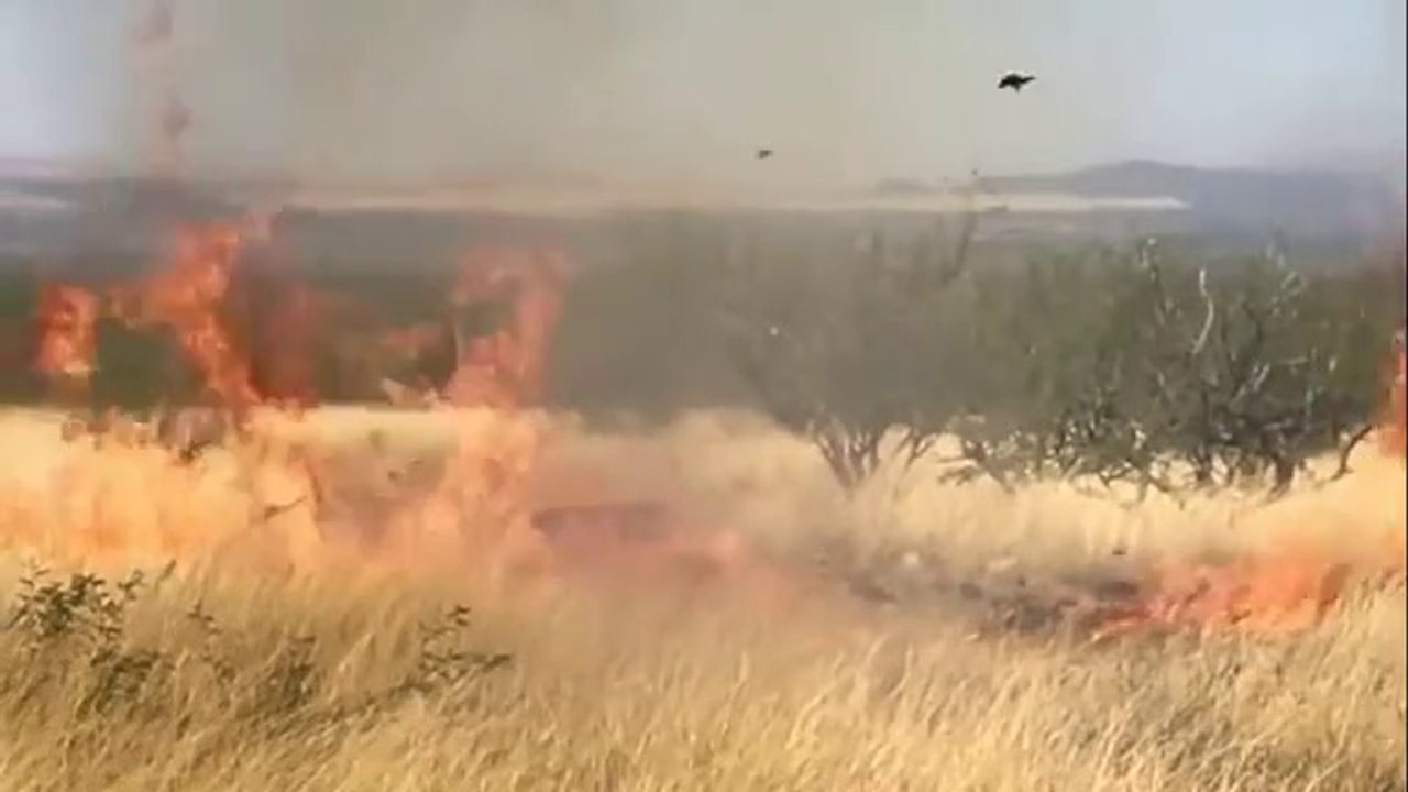 Quand la gender-reveal party tourne mal et provoque un incendie gigantesque