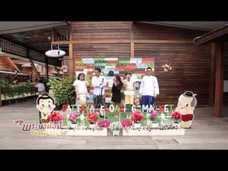 พระยาน้อยชมตลาด(ตลาดน้ำ4ภาค) 2.1