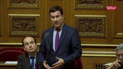 Gilets jaunes : un sénateur déplore les dégradations sur la tombe du soldat inconnu