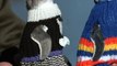 Penguins In Sweaters Is The Cutest Thing You Will See All Day