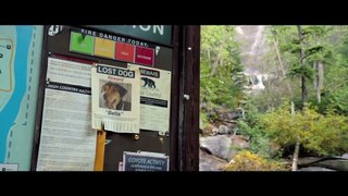 A Dog's Way Home International Trailer #1 (2019) | Movieclips Trailers | Rio Media