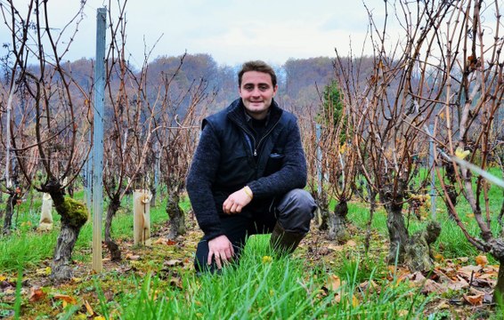Des viticulteurs engagés pour un usage raisonné des produits phytosanitaires