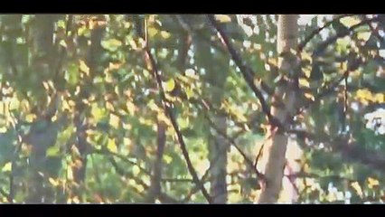 اغنية يا رب العرش يا نجدتي