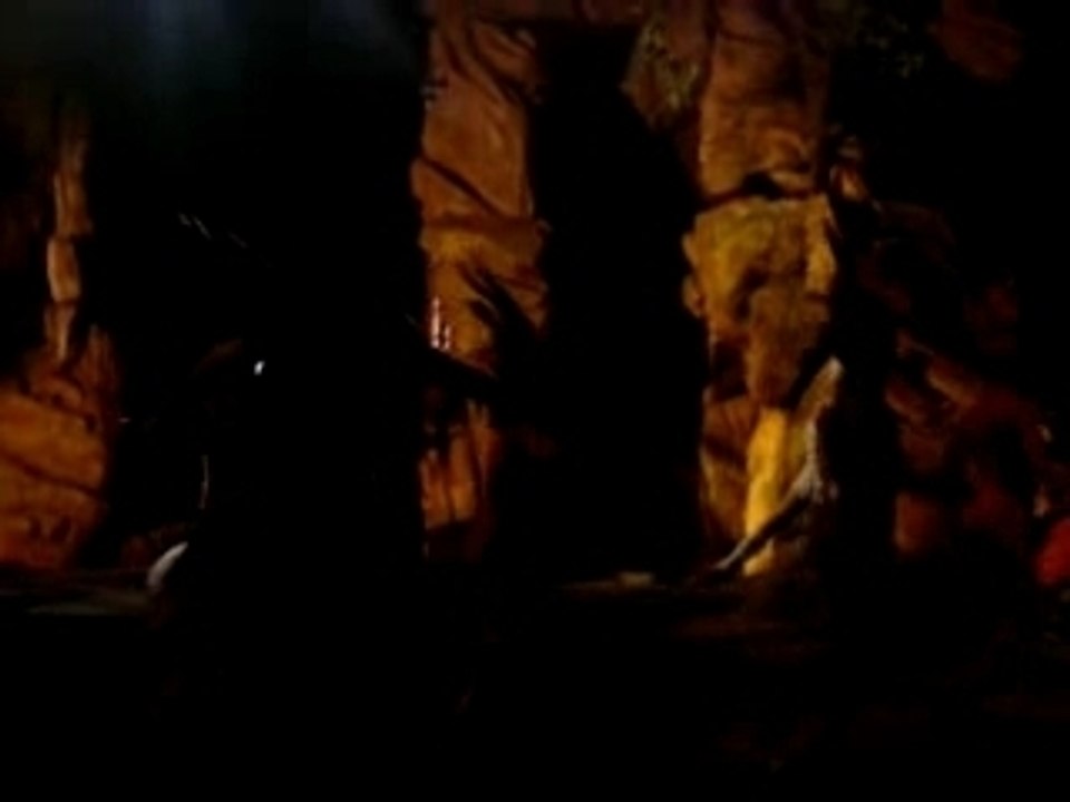 Histoire de la vie Roi Lion disneyland