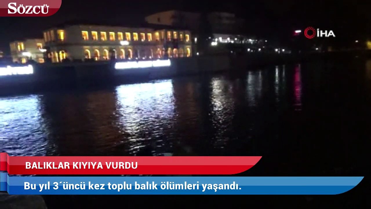 Yeşilırmak’ta toplu balık ölümleri