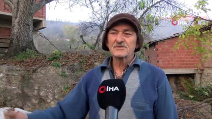 Dev Kayada Yetişen Ceviz Ağacı Görenleri Şaşırtıyor