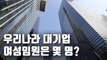 [자막뉴스] 여전한 유리천장…기업 65% 여성 임원 '0명'