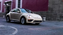 VW Beetle Final Edition Driving in Mexico