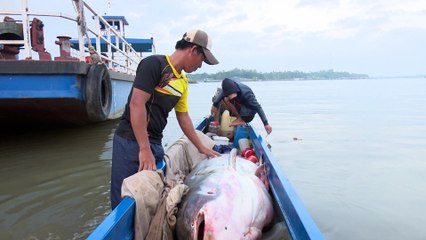 QUÁI VẬT KHỦNG TƯỞNG TUYỆT CHỦNG AI NGỜ...