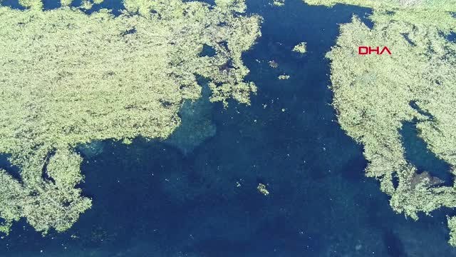 Antalya'nın Su Deposu Kırkgözler İçin 'Kirlilik ve Çekilme' Uyarısı