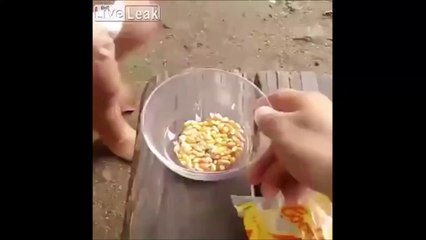 Ces Indiens font du popcorn.. Avec leur moto !