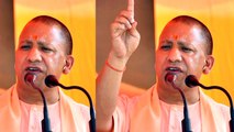 Rajasthan Elections 2018 : Yogi Adityanath की बूटी BJP के लिए अमृत, जाने कैसे | वनइंडिया हिंदी