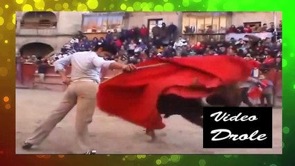 video drole de chute de taureau _ ne pas jouer avec les taureaux