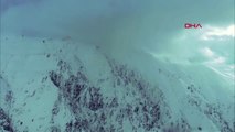Erzurum Karla Kaplı Alanda Çengel Boynuzlu Dağ Keçisi Görüntülendi