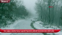 Kar yağışı sabaha karşı Lapseki ilçesinin yüksek kesimlerinde etkili oldu