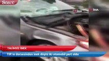 TIR’ın dorsesinden inek düştü iki otomobil pert oldu