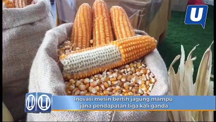 Inovasi mesin biji jagung mampu jana pendapat tiga kali ganda