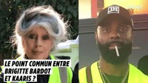 Ces people qui soutiennent les Gilets jaunes