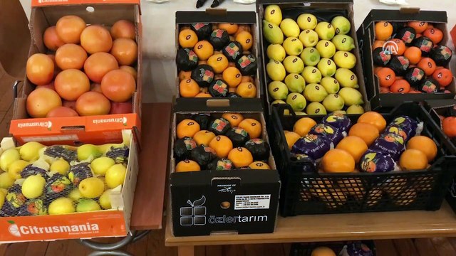 Narenciye üreticilerinden 'ilaç kalıntılı ürün' iddiasına tepki - ADANA