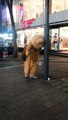 Une mascotte est blasée de distribuer des flyers dans la rue