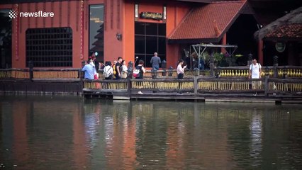 Idyllic Thai restaurant disrupted by constant low-flying planes