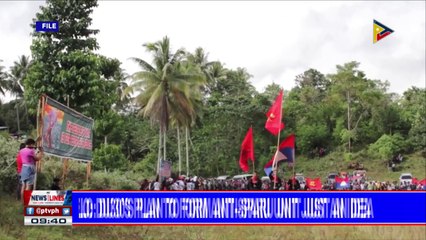 Panelo: Du30's plan to form anti-SPARU unit just an idea